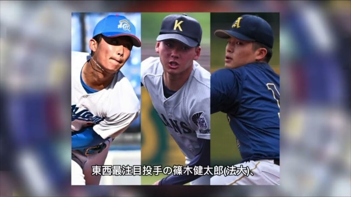 【AIが解説】2024年プロ野球ドラフト会議候補選手たちの紹介　どこから調べたのか？