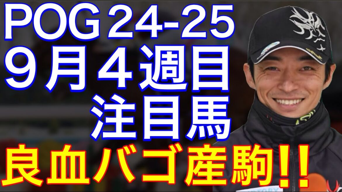 【POG/24-25】９月４週目デビューの注目新馬を紹介【ノーザンＦ×良血バゴ産駒！ミラージュナイトが登場！】