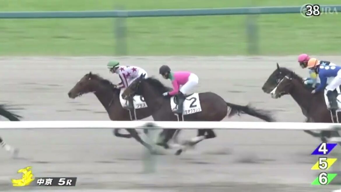 今村聖奈騎手 JRA年間50勝達成！【レース映像】
