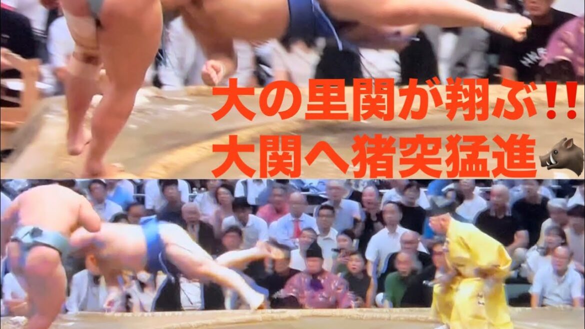 大の里関が翔ぶ‼️大関へ猪突猛進🐗全勝前進🥳