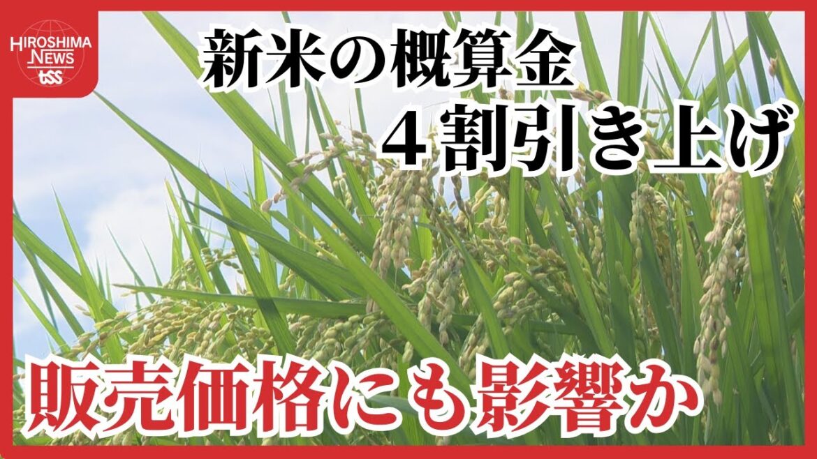 新米の”概算金”が4割引き上げ 市場価格も高止まりか 需要の高まりや生産コストの上昇が要因 広島 新米の”概算金”が4割引き上げ 市場価格も高止まりか 需要の高まりや生産コストの上昇が要因 広島