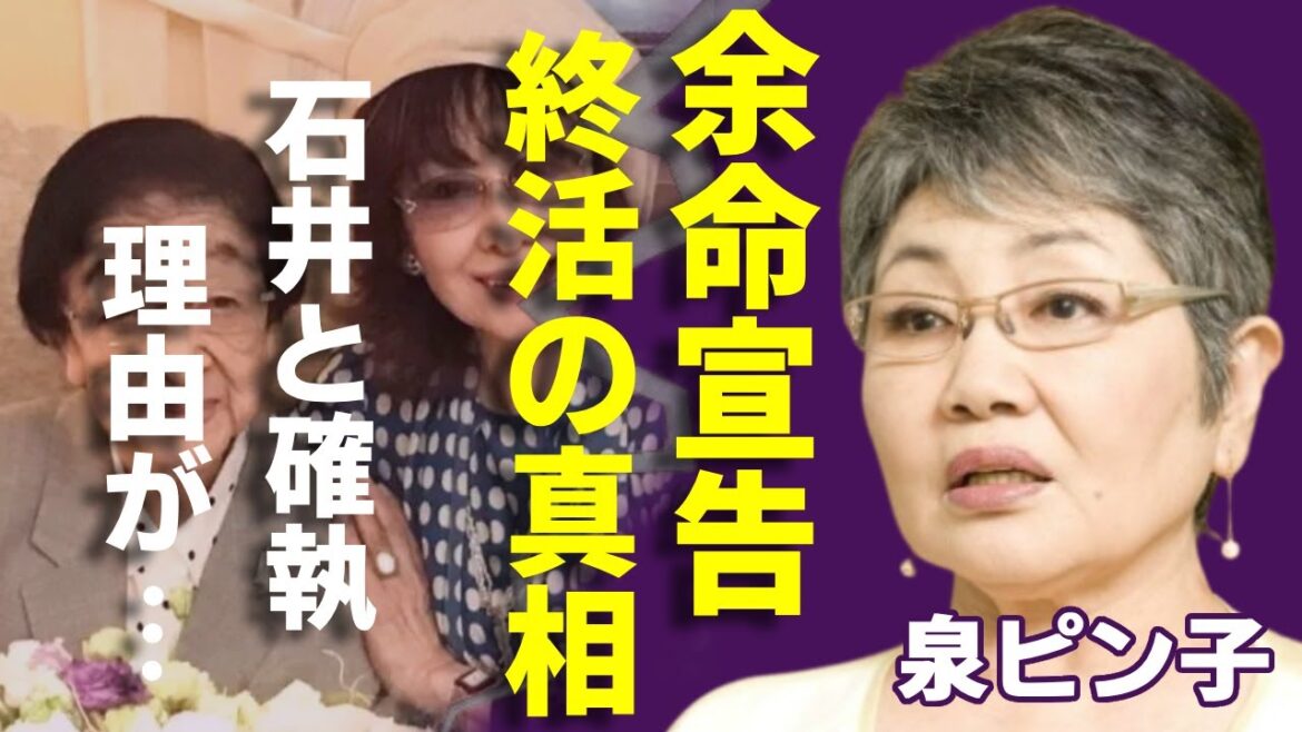 泉ピン子が石井ふく子との確執で芸能界から干された真相....余命宣告で終活の真相に涙が止まらない...告白した橋田壽賀子の追悼ドラマから排除された本当の理由に言葉を失う...