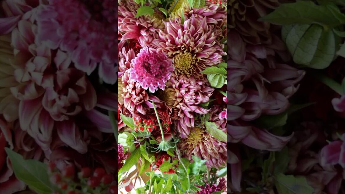 菊の花　#重陽の節句 #マム #菊 #florist #アイフ東京 #eifutokyo
