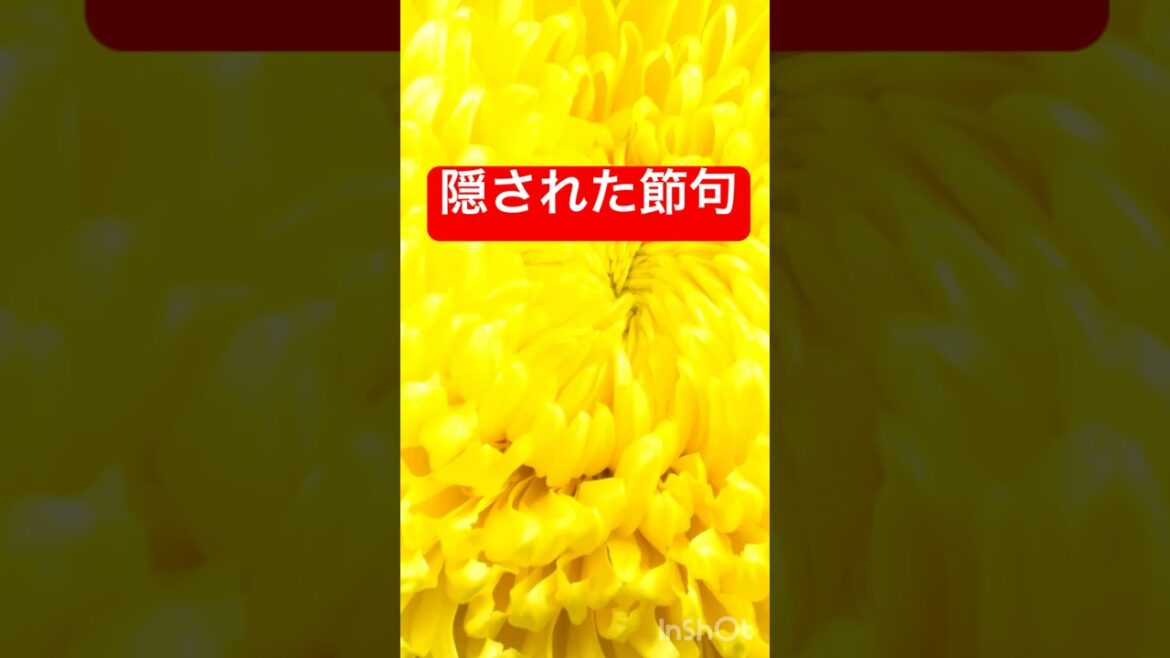 #隠された事実　#菊の節句　#重陽の節句　#植物の力