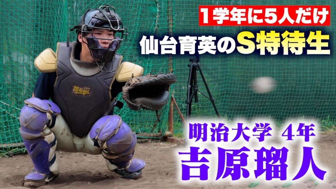 1学年に5人だけ…仙台育英のS特待選手。人生を変えた顔面自打球…