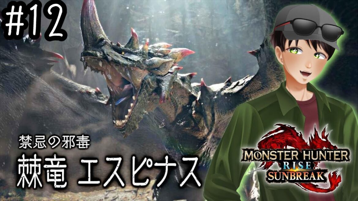 #12【モンスターハンターライズ】最推しモンスに会いに行く！の枠【サンブレイク】