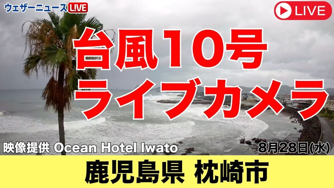 【#台風10号 #ライブカメラ 】鹿児島県枕崎市／ 非常に強い台風10号　最盛期で九州に接近　2024年8月28日（水）＜ヤッシーの様子＞