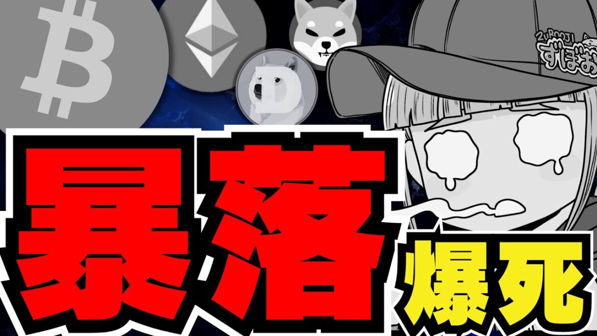 【💀仮想通貨また大暴落】ビットコインに何が？今どうすれば良い？／イーサリアムの下落がマジでひどい。引退か？／ミームコインも下落。ドージコインは大底じゃなかったのか。POPCATとFLOKIに注目
