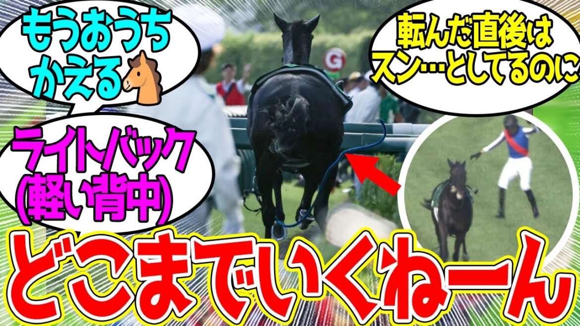 ライトバック ← これが今年の桜花賞オークス3着馬の走りか…に対するみんなの反応！【競馬 の反応集】