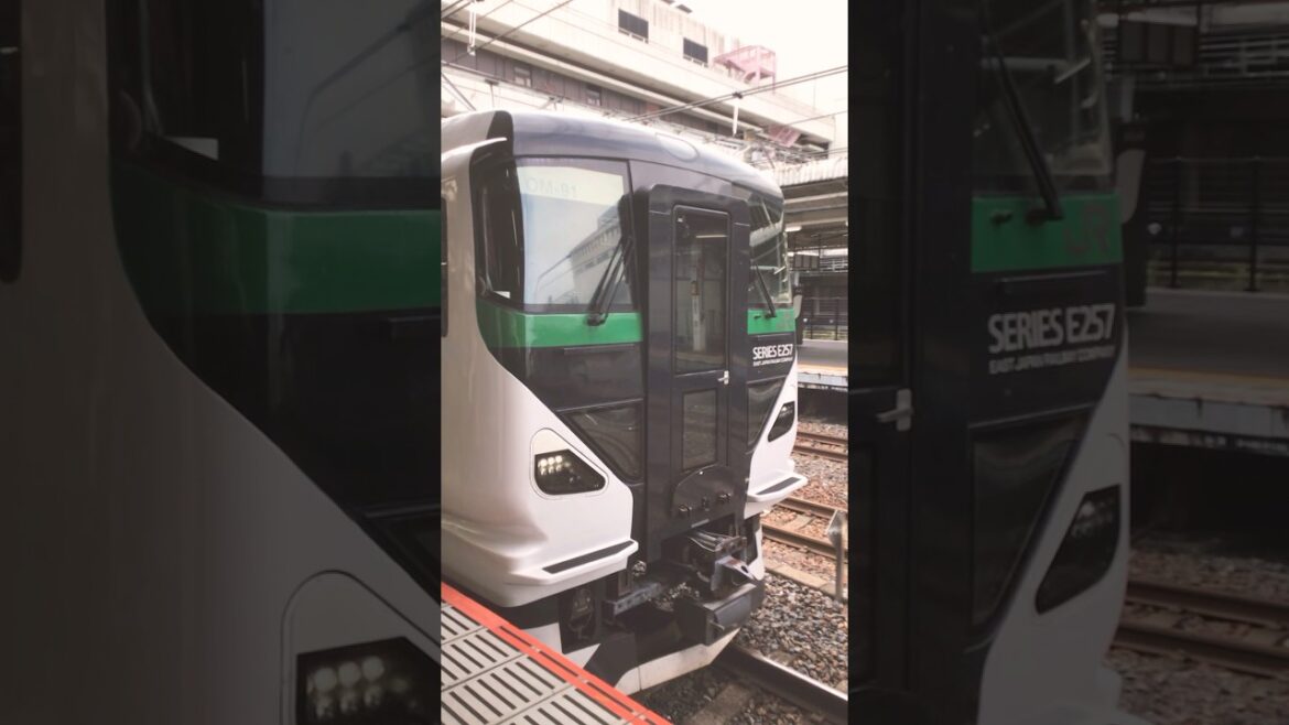 大宮駅 9番線ホーム E257系OM-91編成を使用した修学旅行臨時列車に遭遇 乗客の修学旅行の皆さん楽しそう 2024/09/01 #臨時列車