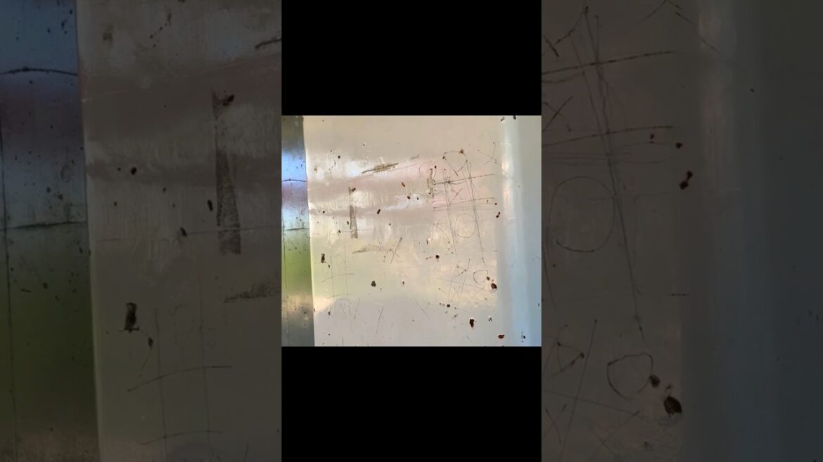 浅川高架下の人、コロナウイルスへの意見【台風10号直撃・浅川沿い注意】【史上最強クラス・交通機関に影響】【熱中症、新型コロナ、変異株KP.3、ゲリラ豪雨、地震注意】（東京都 八王子市）