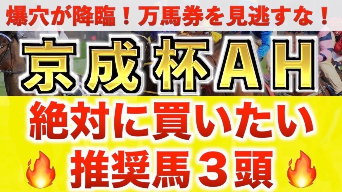 【京成杯オータムハンデ2024 予想】コラソンビート過去最高のデキ？プロが"全頭診断"から導く絶好の3頭！