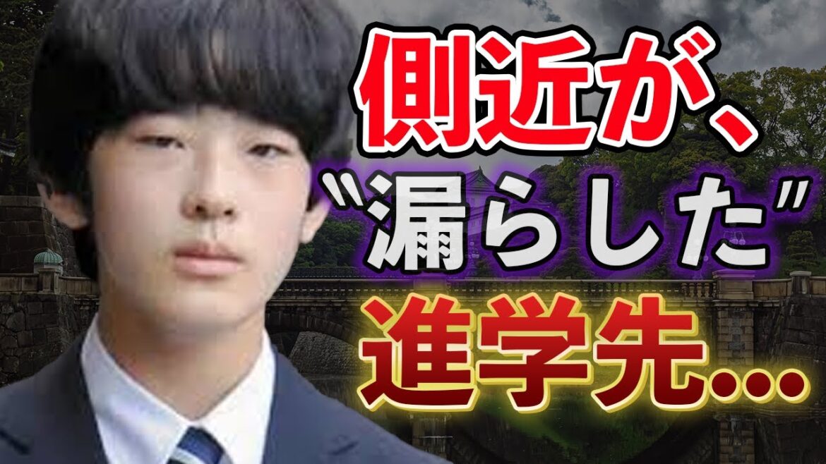 悠仁さま"オックスフォード大学進学"の噂がオックスフォード大学進学の噂が再燃！秋篠宮家・長男その英語力と進路の行方