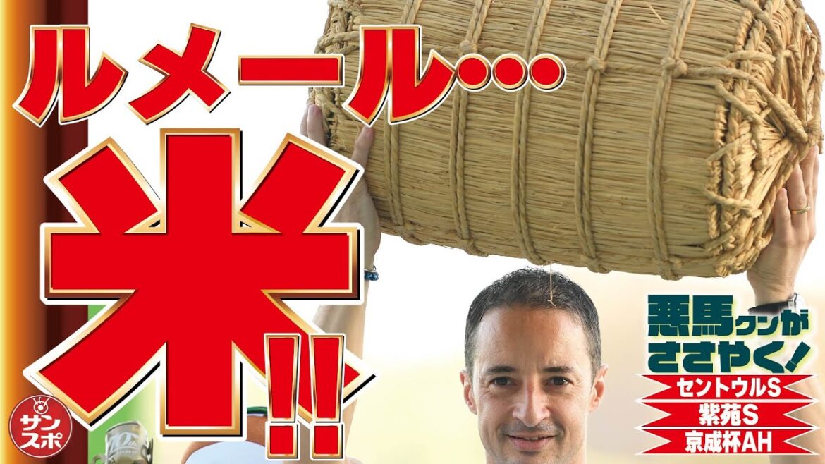 【2024セントウルS＆紫苑S＆京成杯AH】セントウルSは産経賞!必勝態勢で行きます!