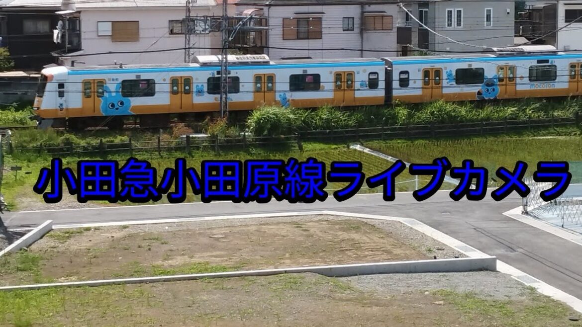 小田急小田原線ライブカメラ（足柄〜小田原間）
