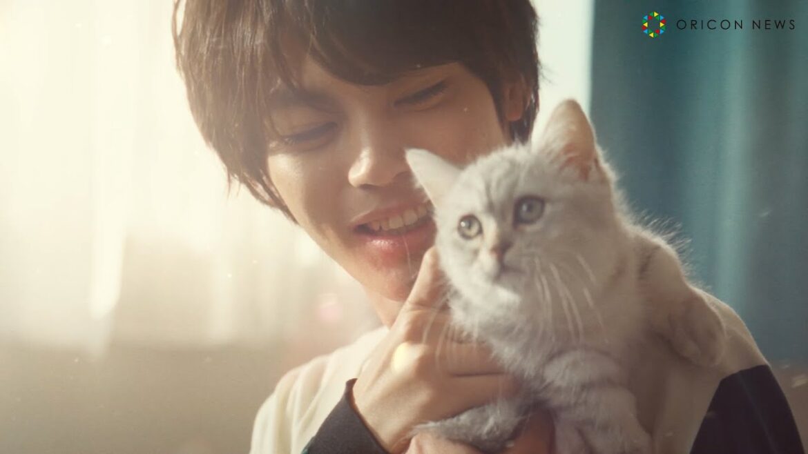 神尾楓珠、子猫にデレデレ一目ぼれ「うちに、くる?」 ある俳優と“運命を感じた瞬間”も明かす ボートレース2024新CM『カミオとチャンプ篇』 神尾楓珠、子猫にデレデレ一目ぼれ「うちに、くる?」 ある俳優と“運命を感じた瞬間”も明かす ボートレース2024新CM『カミオとチャンプ篇』