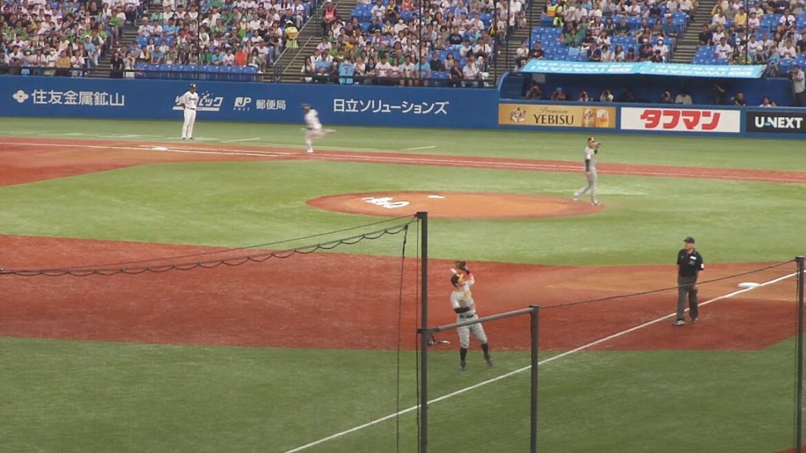 阪神 佐藤輝明 落球しボールが頭に当たるエラー　ヤクルト vs 阪神　2024年9月8日(日) 神宮球場