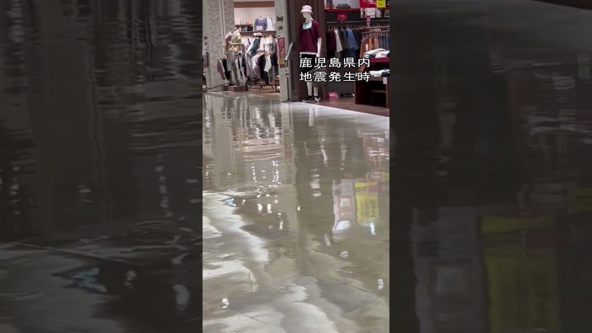 【地震発生の瞬間】揺れの中座り込む人たち…店の服や照明が揺れる　鹿児島県内のショッピングモールでの様子　宮崎で震度６弱の地震　#shorts #地震　#瞬間映像