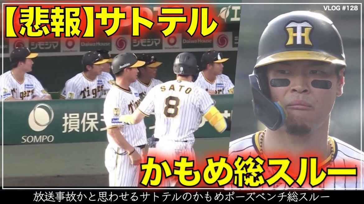 【阪神タイガース】20秒でわかる 佐藤輝明のかもめポーズをベンチ総スルー（阪神対広島 第23回戦）