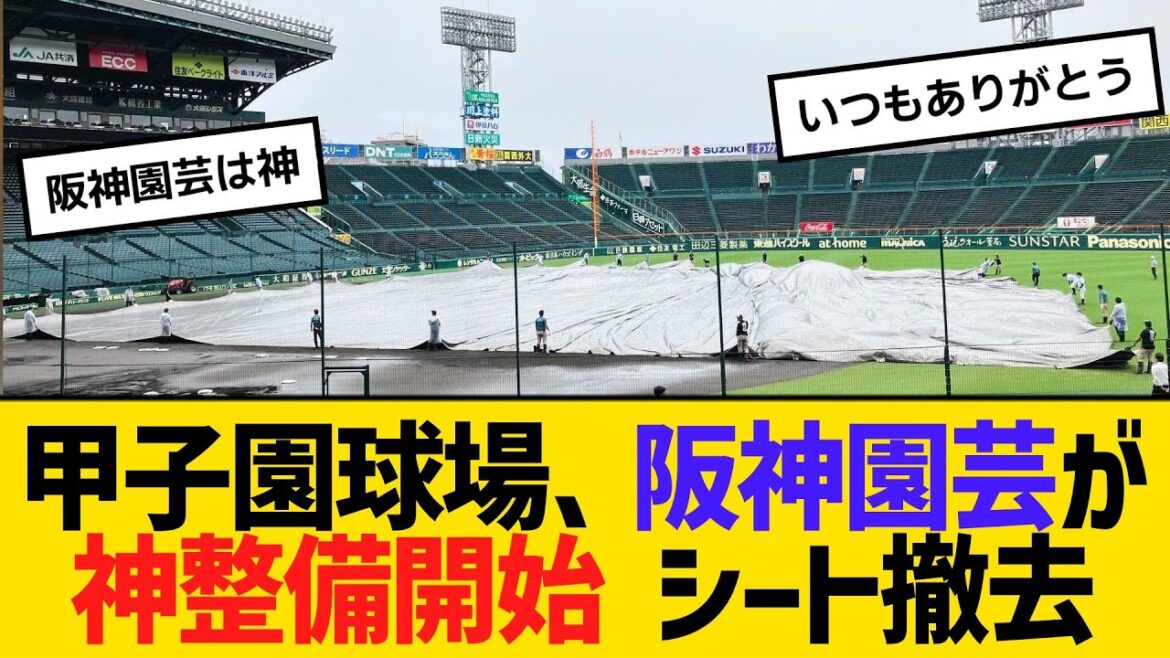 甲子園球場、阪神園芸が神整備開始 シート撤去　【ネットの反応】【反応集】