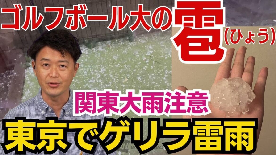 【ゲリラ雷雨情報】東京・多摩エリアなどで大雨　八王子市ではゴルフボール大の雹が降る