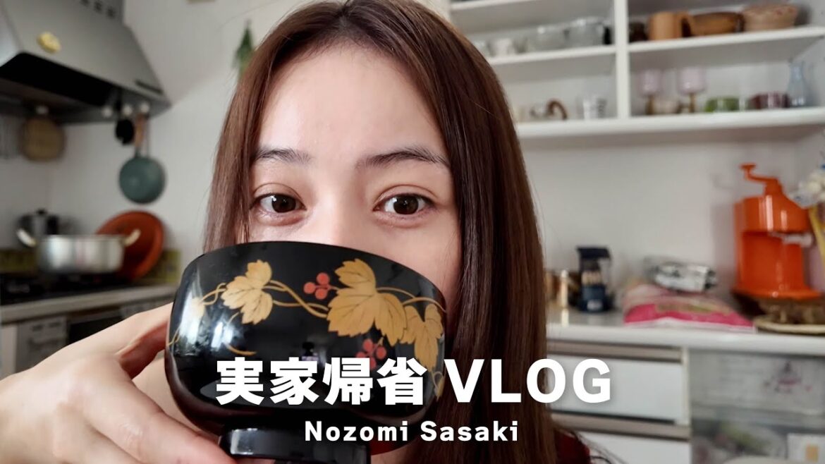 お盆休みに秋田の実家に帰りました｜2024夏🍶【後編】