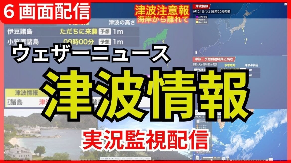 ※午前11時に津波注意報解除※【津波データ 6画面配信】伊豆・小笠原諸島に津波注意報発表　ただちに海岸から離れて（2024年9月24日）#津波