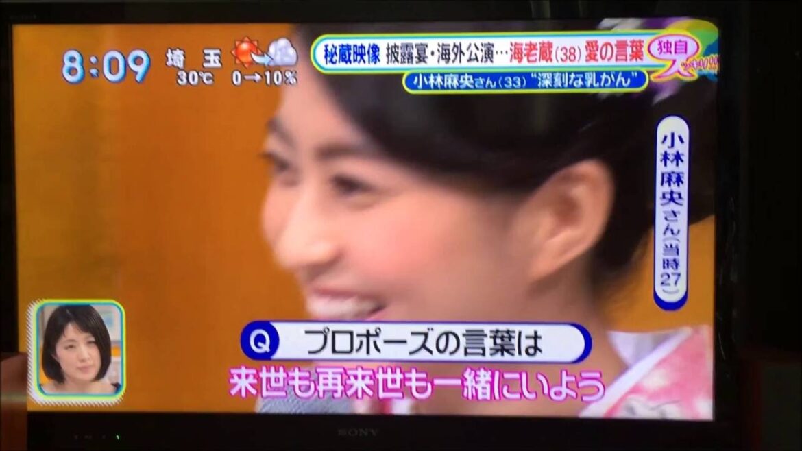 【深刻ガン会見】小林麻央と市川海老蔵、ガン発覚からこれまで