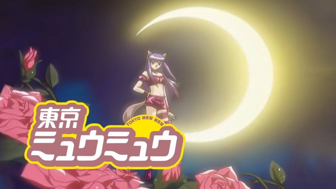 ざくろ 変換【東京ミュウミュウ】4k