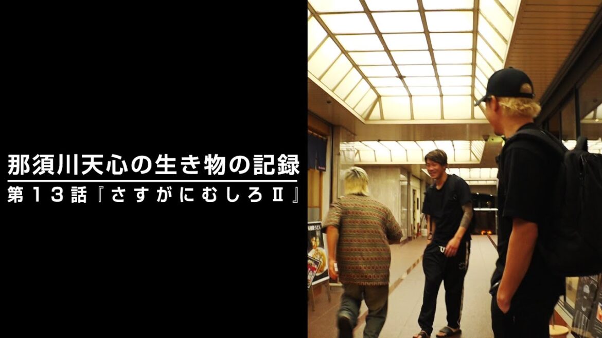 那須川天心の生き物の記録 第13話 『さすがにむしろII』 那須川天心の生き物の記録 第13話 『さすがにむしろII』