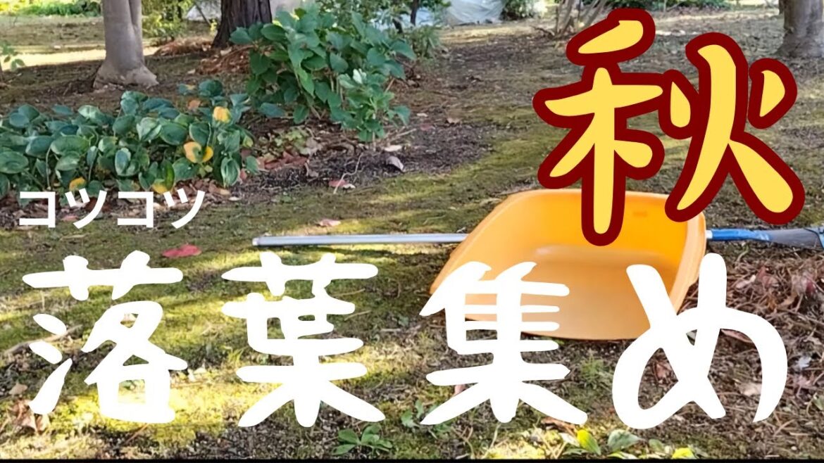 「エアブロワー届くの待ってます」竹箒でまったり落葉集め～アングル悪い～