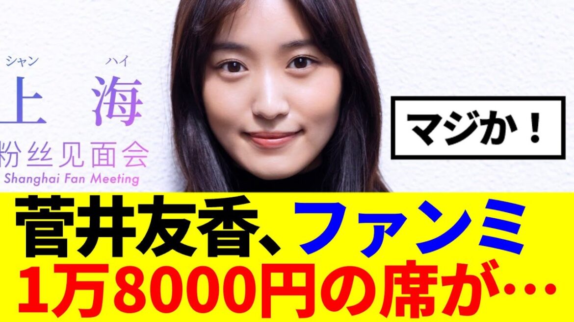 【元櫻坂46】高額チケットが...菅井友香、上海でのファンミが凄い事に…