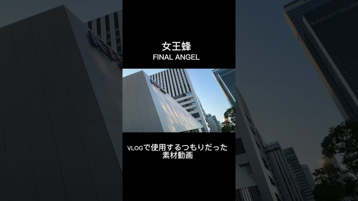 【女王蜂・未公開】女王蜂 ツアー FINAL ANGEL VLOGで使う予定だった映像。#女王蜂 #アヴちゃん #finalangel
