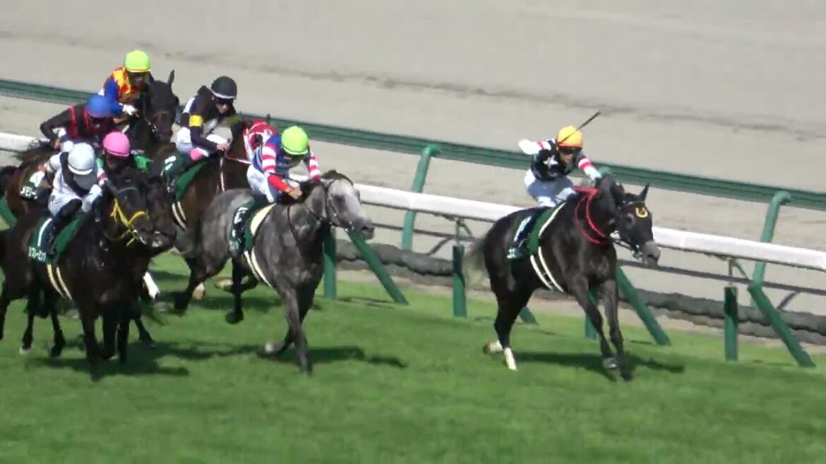 【小倉記念2024】JRAの現役馬は残り3頭のキングヘイロー産駒 リフレーミングがレコード勝ち‼ 現地映像