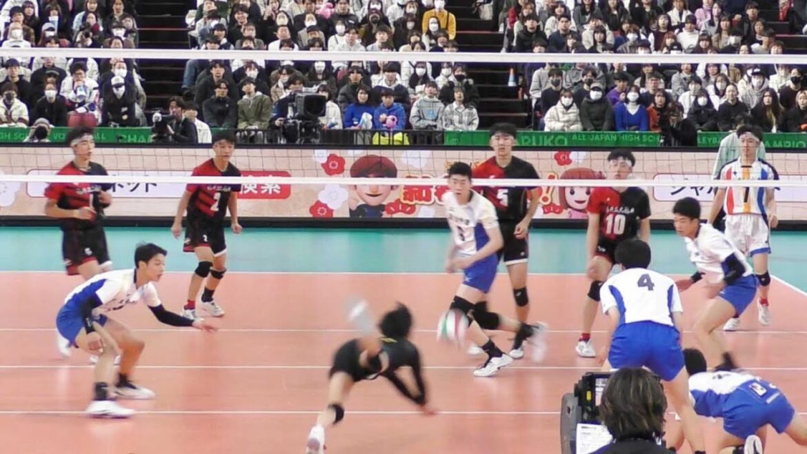 【春高2024】 駿台の真骨頂 つなぎ＆レシーブ集 春高バレー 決勝