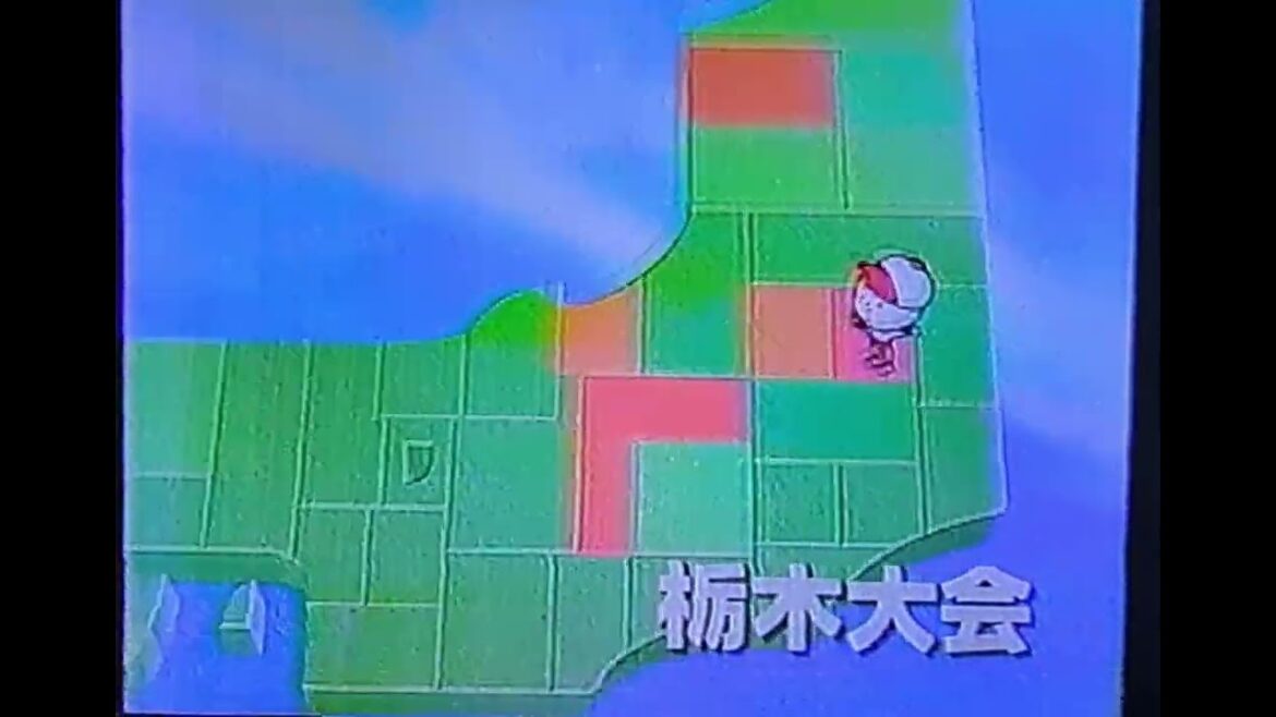 【栃木大会】2005年決勝 宇都宮南 対 国学院栃木 【高校野球】