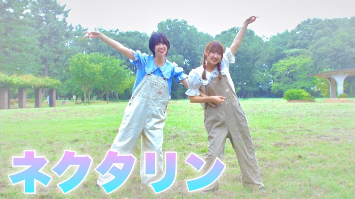 【踊ってみた】双子で『ネクタリン/マカロニえんぴつ』踊ってみた！【天才てれびくん】