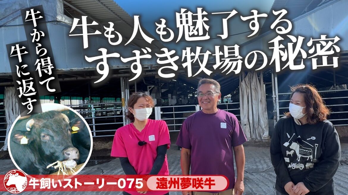 【静岡：遠州夢咲牛】和牛で逆境を力に変えて！牛へ恩返しを続ける《牛旅wasabee 牛飼いストーリー075》