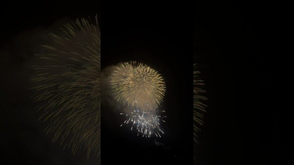 【Part5】新潟県片貝花火スターマイン ほとんどが尺玉で構成されるスターマインは圧倒的 #花火 #花火大会 #新潟県 #片貝まつり #片貝花火 #shorts