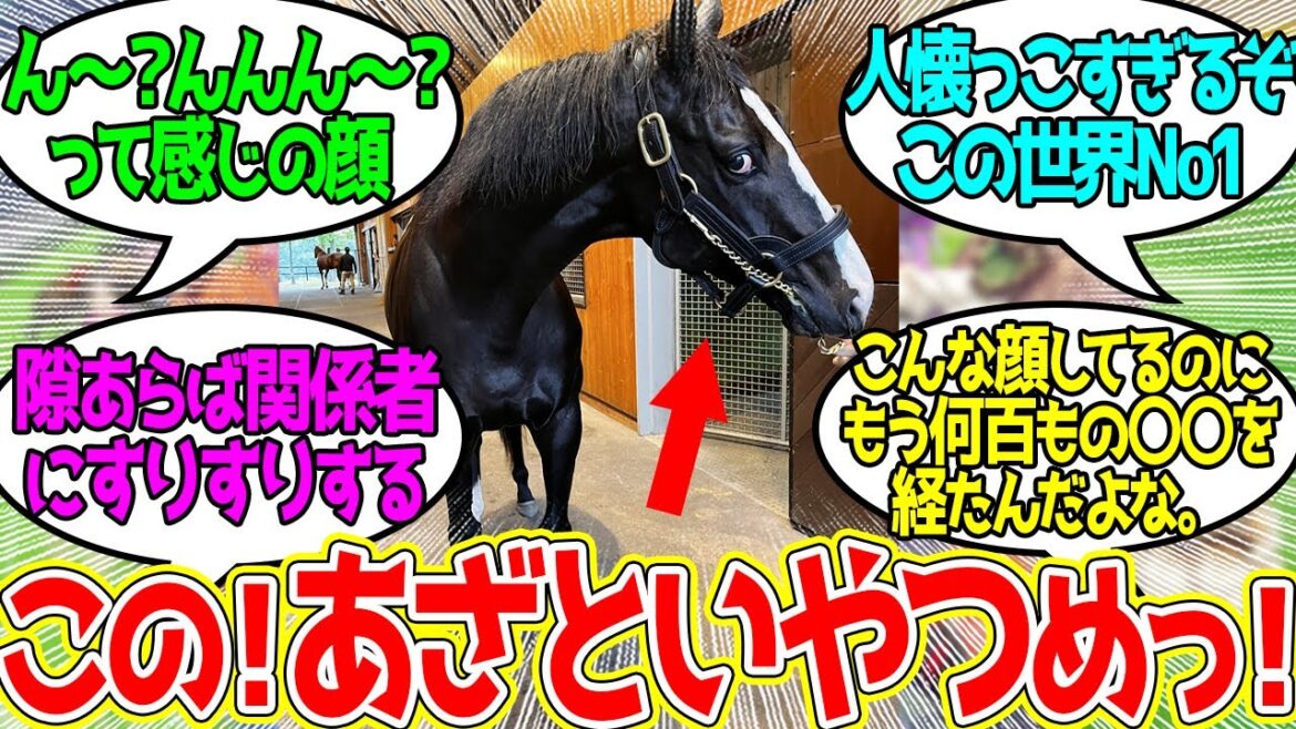 イクイノックス ← 引退してから可愛いところしか見せない馬に対するみんなの反応！【競馬 の反応集】