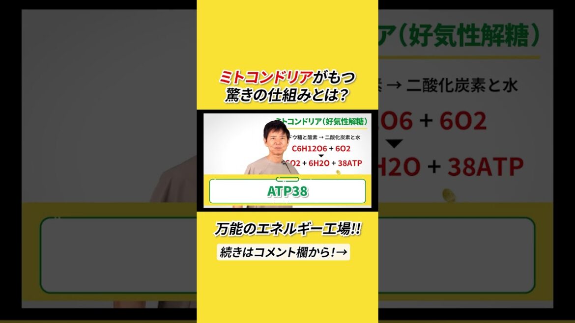 ミトコンドリアがもつ驚きの仕組みとは？ #shorts #ナグモ先生 #ナグモクリニック