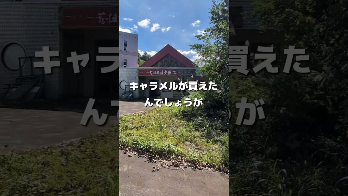 借金まみれの街にあった花畑牧場が廃墟になってた