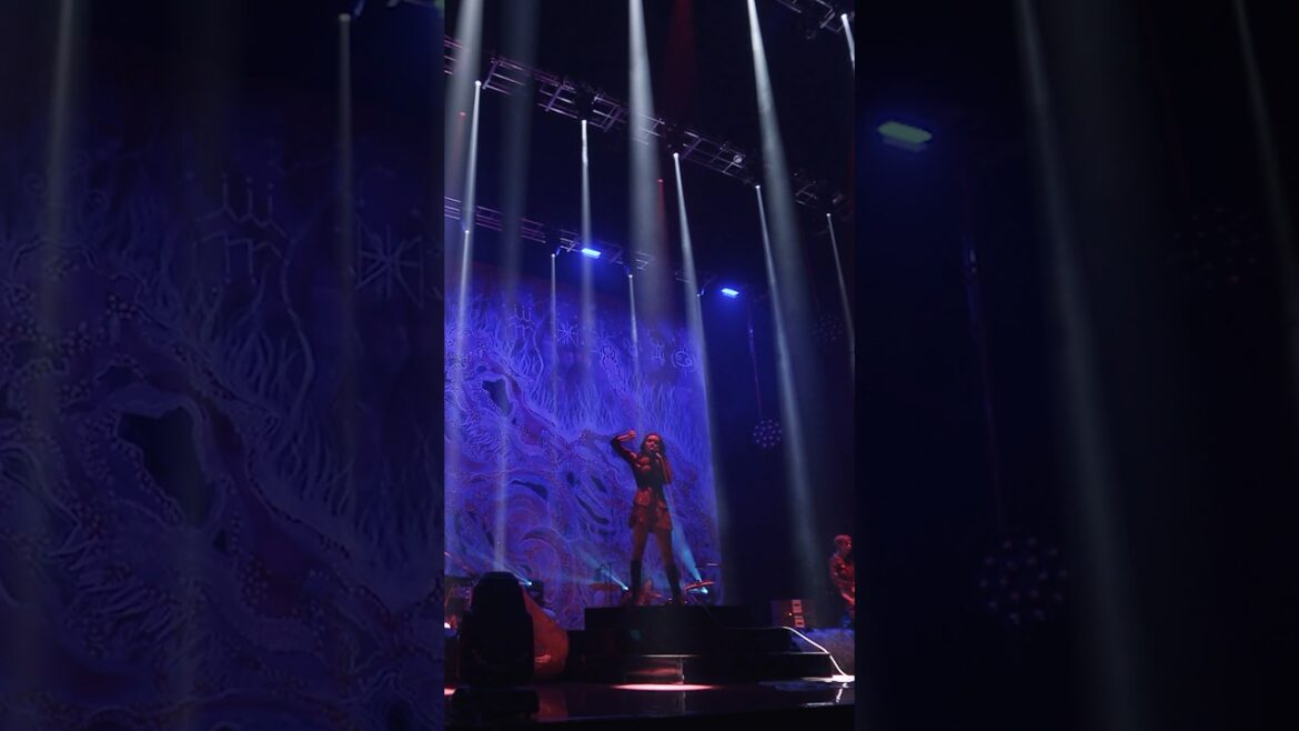 “単独公演「バイオレンス」”より『#ハイになんてなりたくない』のLive映像(1A ver.)を公開。#女王蜂 #QUEENBEE #女王蜂15周年 #QUEENBEE_15TH