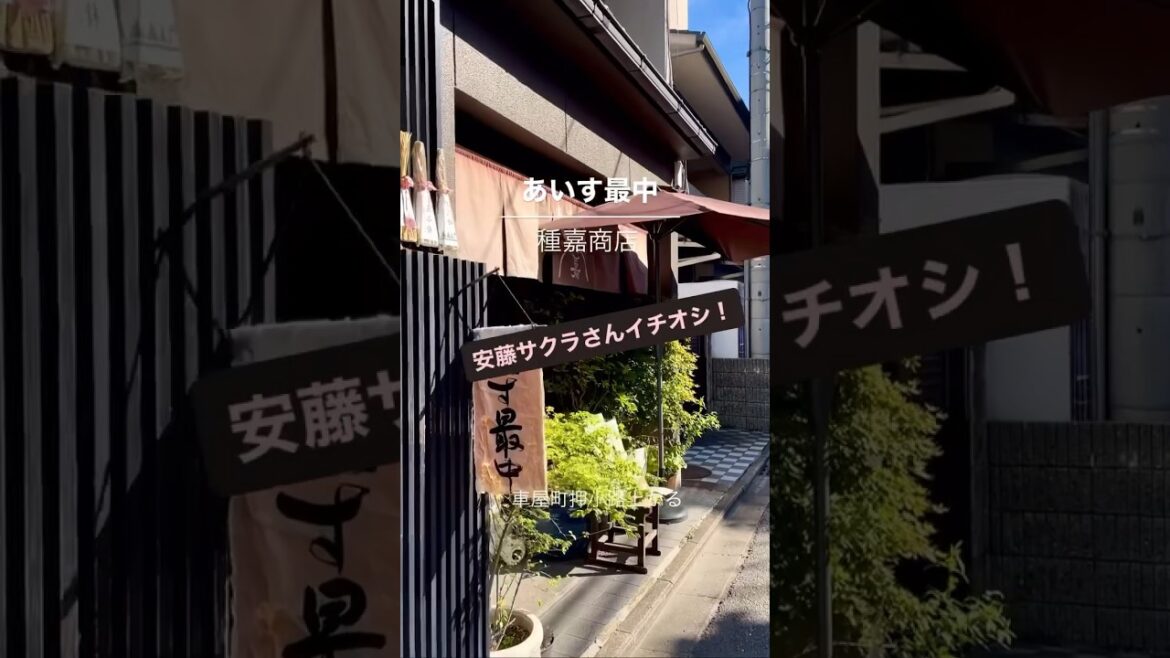 安藤サクラさんイチオシ！「種嘉商店」のもなか #種嘉商店 #最中 #もなか #あいす最中 #京都スイーツ #京都和菓子 #安藤サクラ #求肥 #老舗