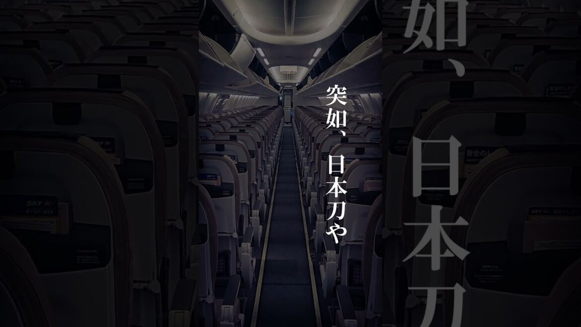 日本のテロ組織日本赤軍が起こしたハイジャック事件【よど号ハイジャック事件】#shorts #事件 #怖い話 #空港