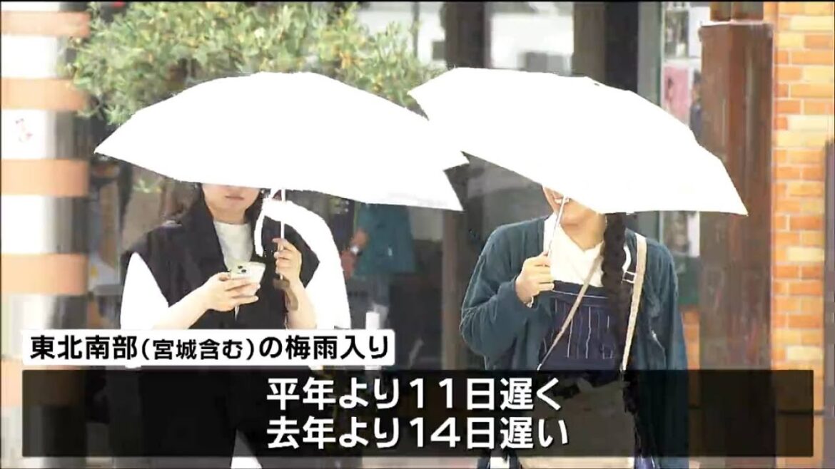 東北地方が梅雨入り　南部は平年より１１日遅い　仙台市内も朝から雨