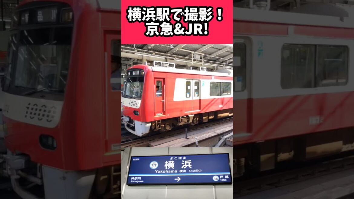 横浜駅で電車撮ってきた! #jr東日本 #鉄道 #横浜