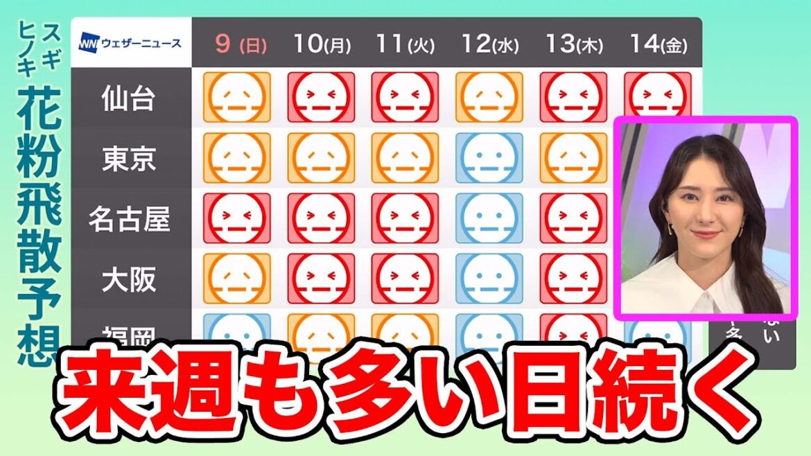 花粉飛散予想　非常に多い日続く　雨で落ち着く日も