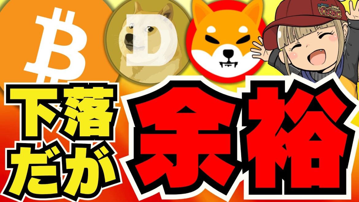 【🔥日本、仮想通貨税制見直し】ビットコイン下落とか余裕です！年内10万ドルいくか／石破新総裁、金融課税強化？それとも。。／ミームコイン下落。ドージ柴犬が辛いがあの犬系ミームが強い！（正解はBONK）