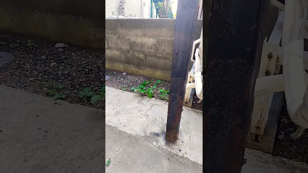 ナベさんの鉄道運行状況報告‼️　JR東海道本線　沿線火災の影響で運転見合わせしています‼️😮